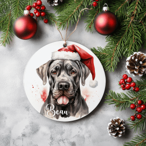 Kerstboom hanger Deense dog met naam