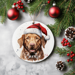 Kerstboom hanger Chesapeake bay retriever